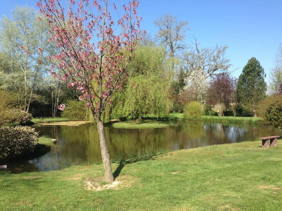 Domaine Du Bois L'Abbe Villa Epaignes ภายนอก รูปภาพ